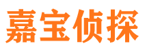 下陆调查公司